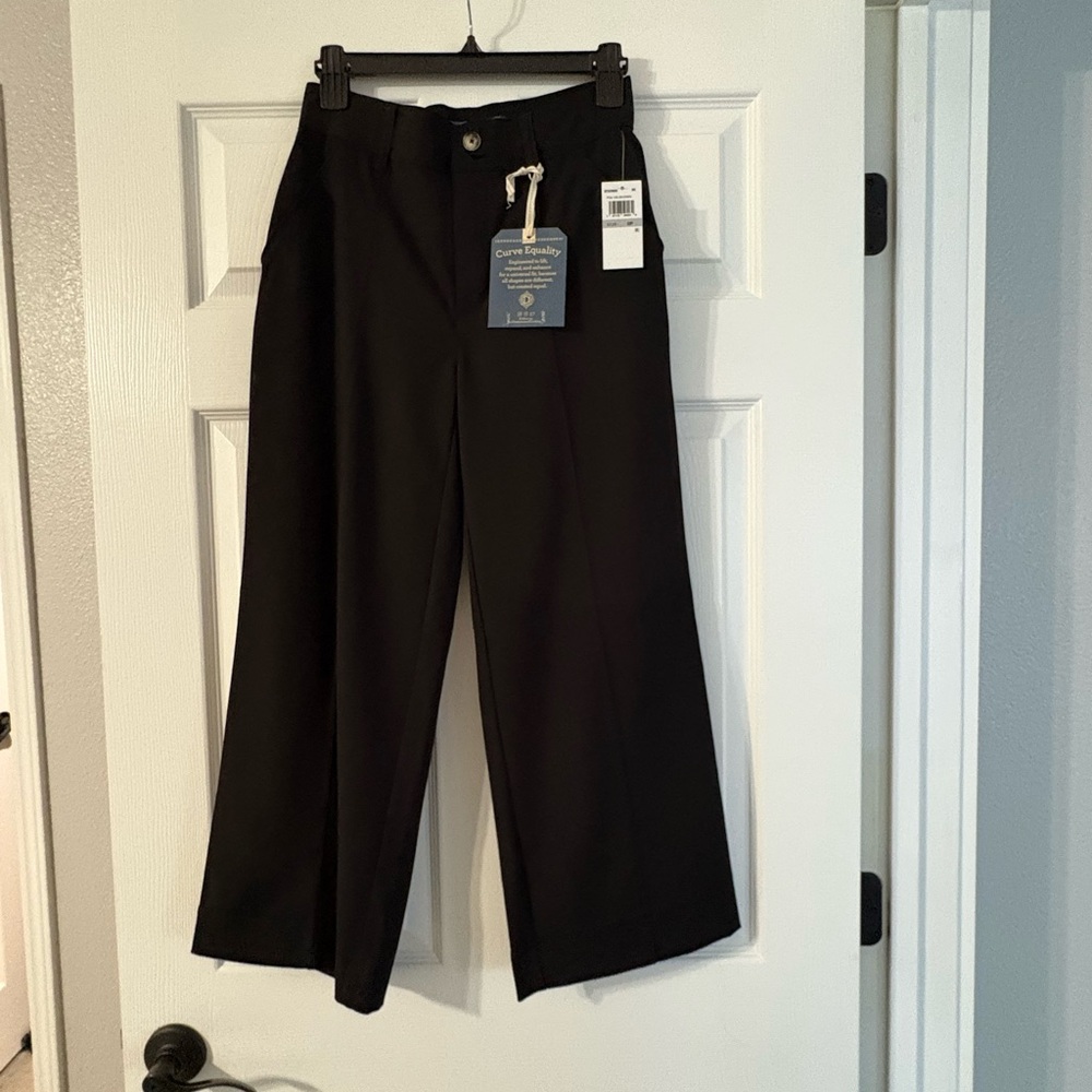 Democracy Classic Black Ankle Pants